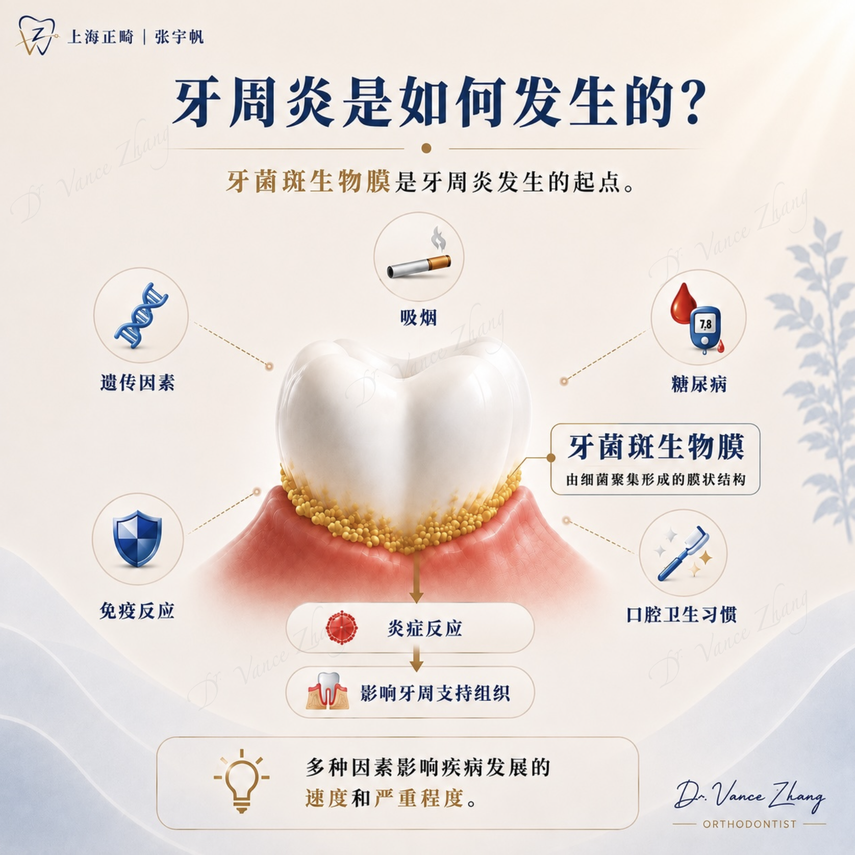 牙周炎病因示意图