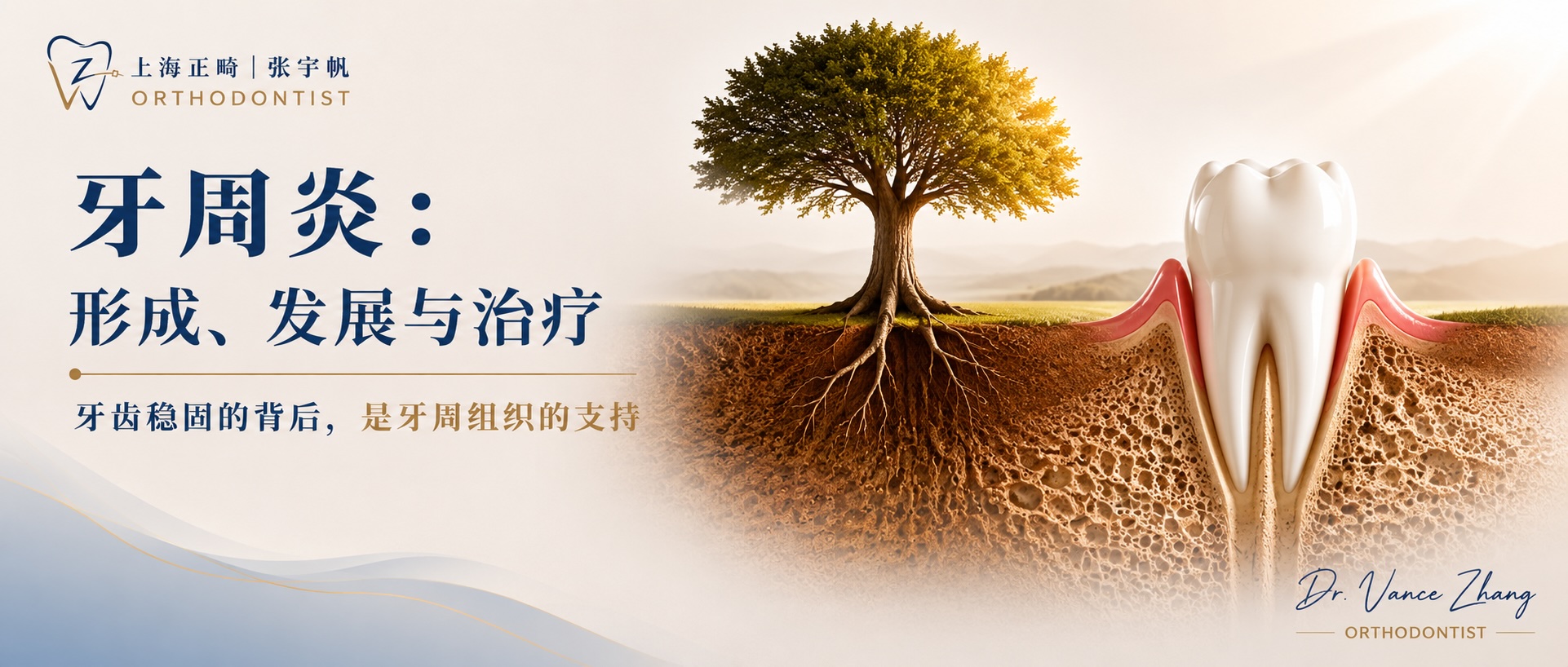 牙周炎:病因、进展、危害与治疗封面